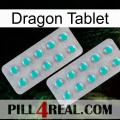 Dragon Tablet 29